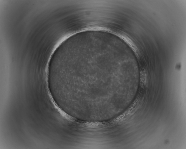 X0000097911046200804041457