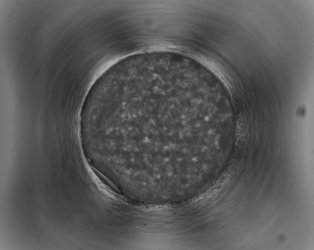 X0000097911047200804041457