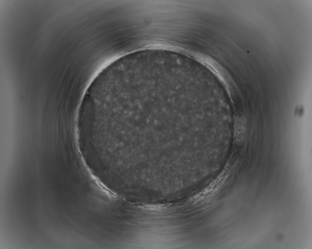 X0000097911048200804041457