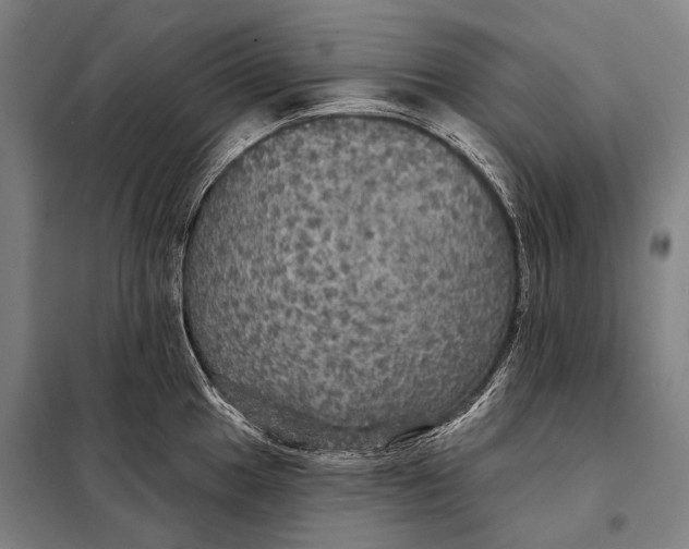 X0000097911049200804041457