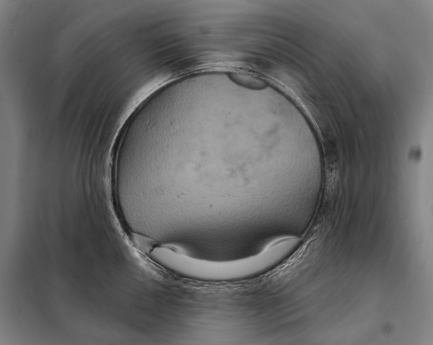 X0000097911050200804041457