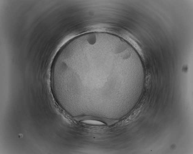 X0000097911051200804041457