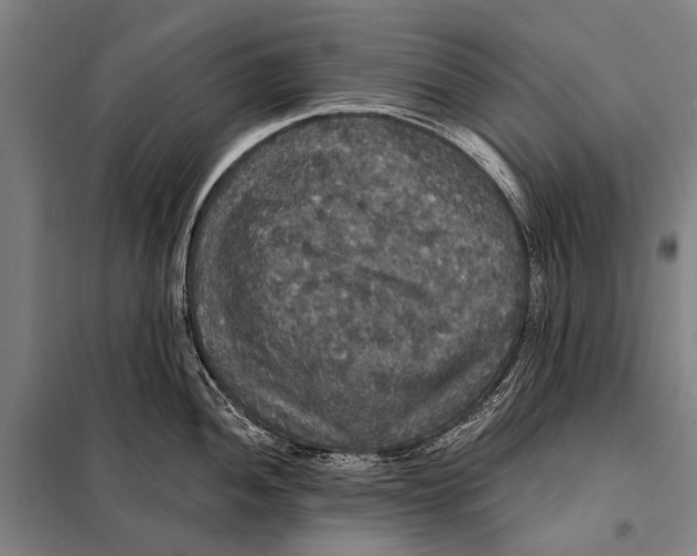 X0000097911052200804041457