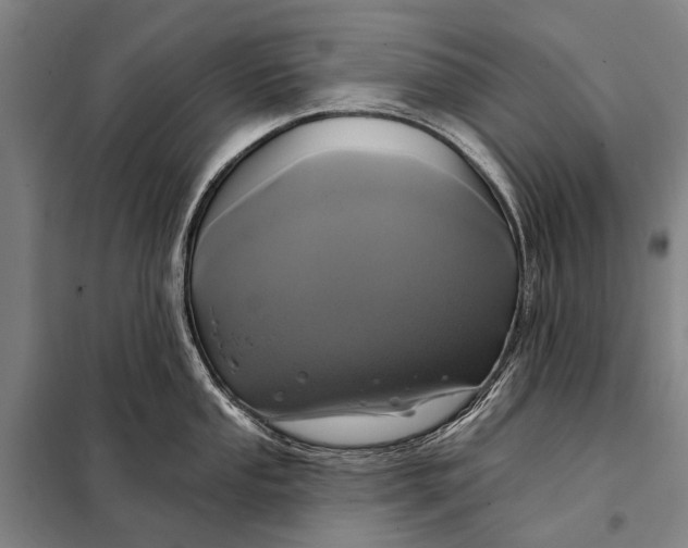 X0000097911053200804041457