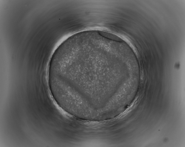 X0000097911054200804041457