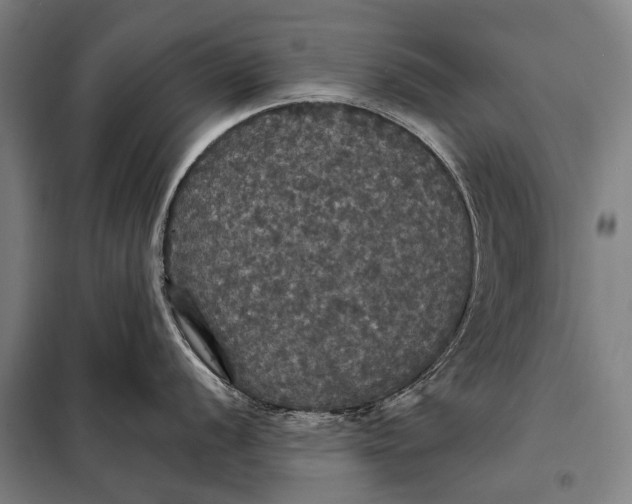 X0000097911056200804041457