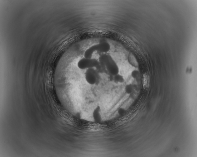 X0000097911059200804041456