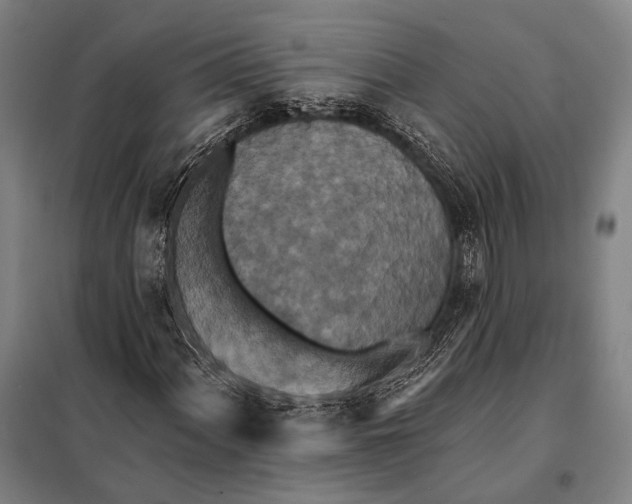 X0000097911060200804041456