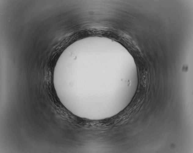 X0000097911061200804041456