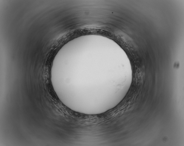 X0000097911062200804041456