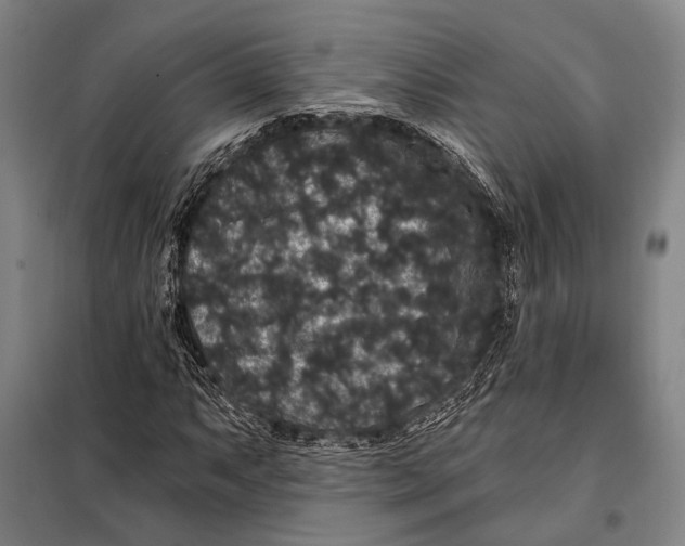 X0000097911063200804041456