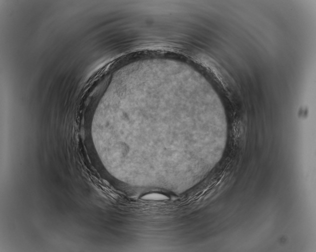 X0000097911064200804041456