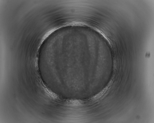 X0000097911066200804041456