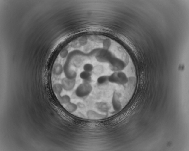 X0000097911067200804041456