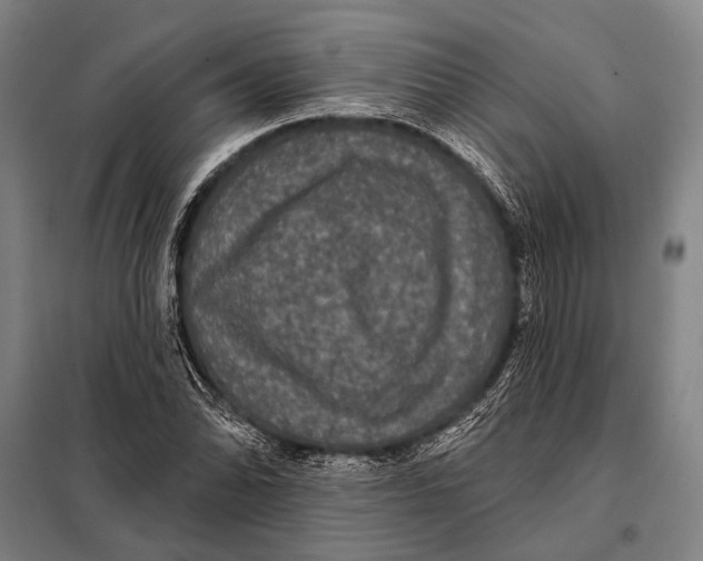 X0000097911070200804041456