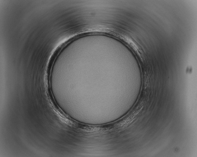 X0000097911072200804041456