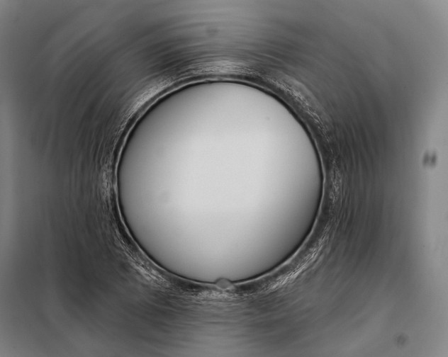 X0000097911073200804041456