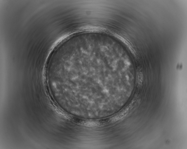 X0000097911074200804041456