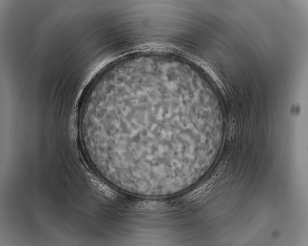 X0000097911075200804041456