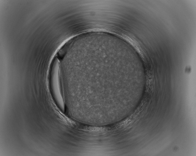 X0000097911076200804041456