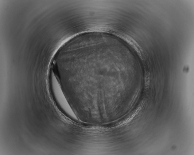 X0000097911077200804041456