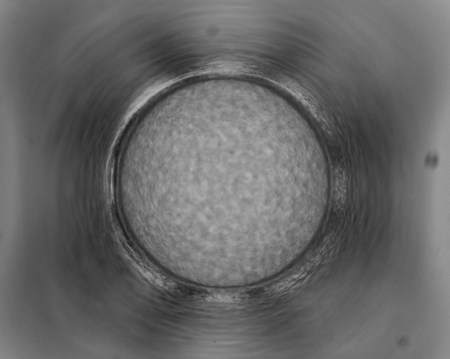 X0000097911078200804041456