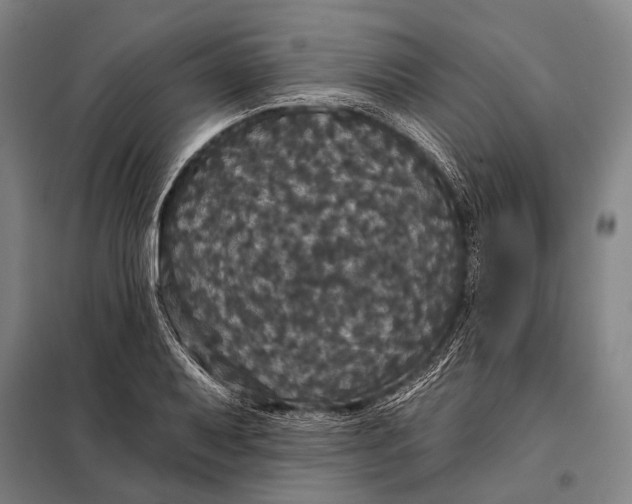 X0000097911079200804041456