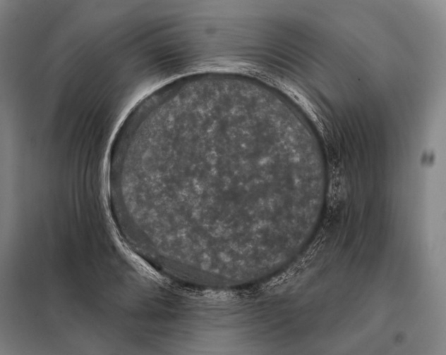 X0000097911080200804041456