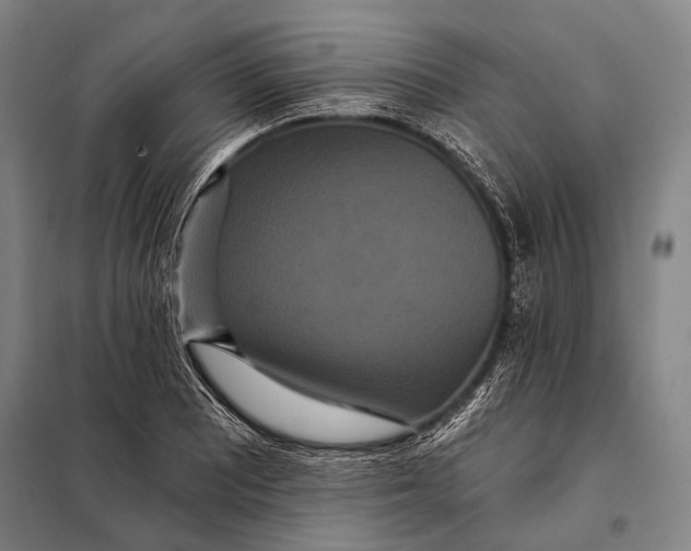 X0000097911081200804041456