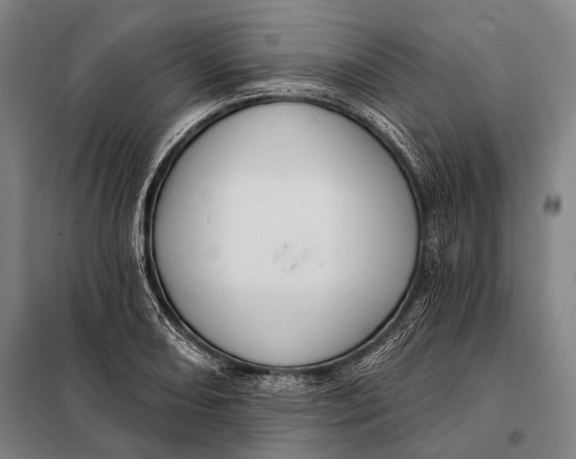 X0000097911082200804041456