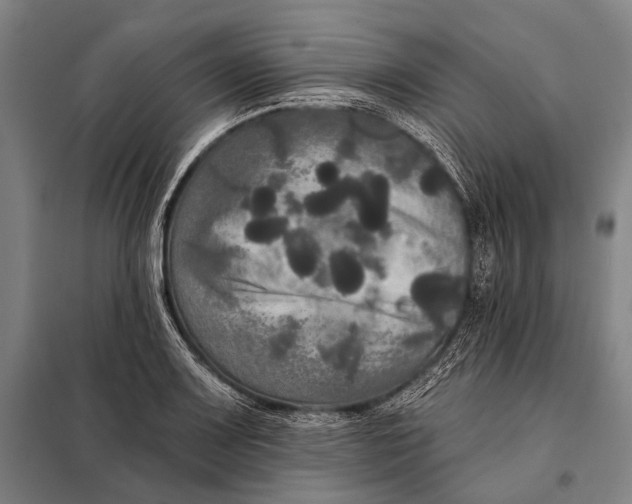 X0000097911083200804041456