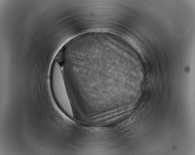 X0000097911084200804041456