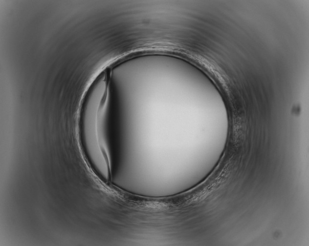 X0000097911085200804041456