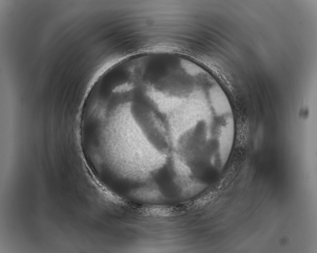 X0000097911086200804041456