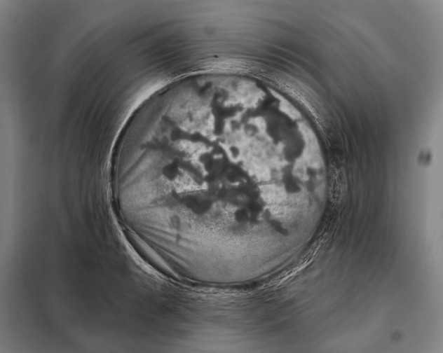 X0000097911087200804041456