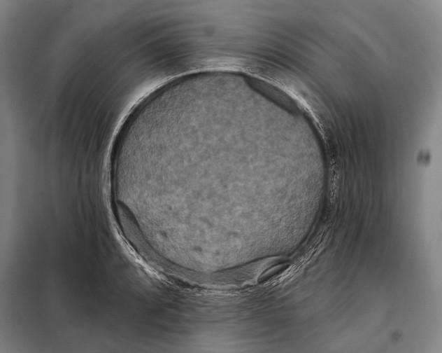 X0000097911088200804041456