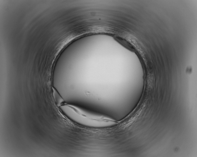 X0000097911089200804041456