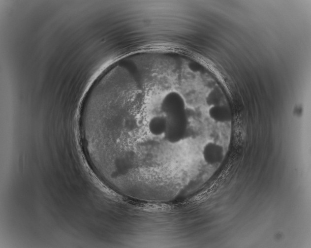 X0000097911091200804041455