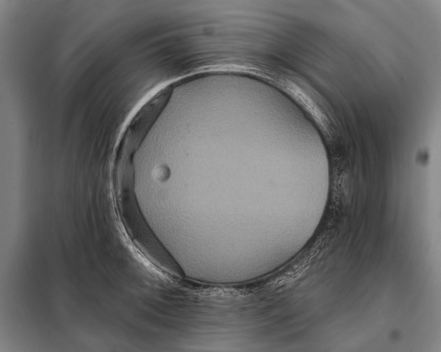 X0000097911092200804041455