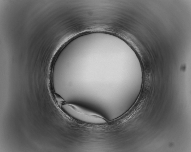 X0000097911093200804041455