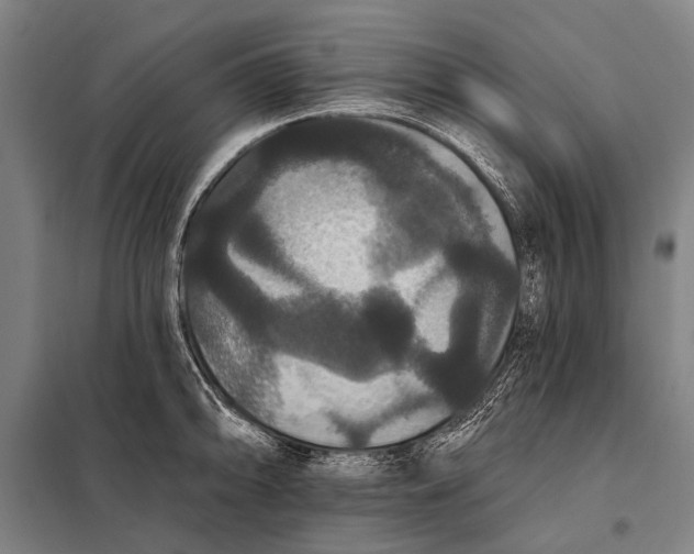 X0000097911094200804041455