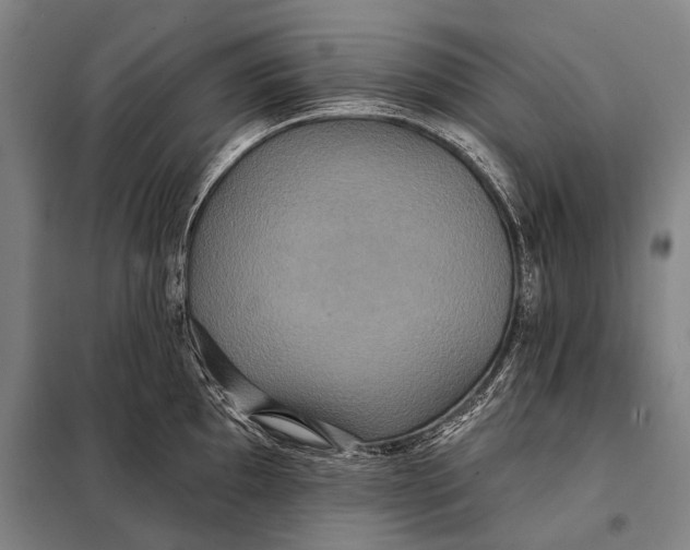 X0000097911097200804041455