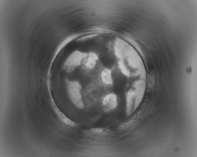 X0000097911098200804041455