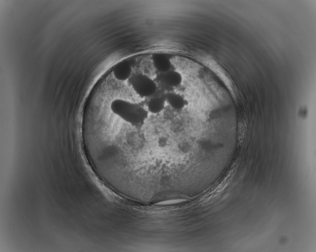 X0000097911099200804041455