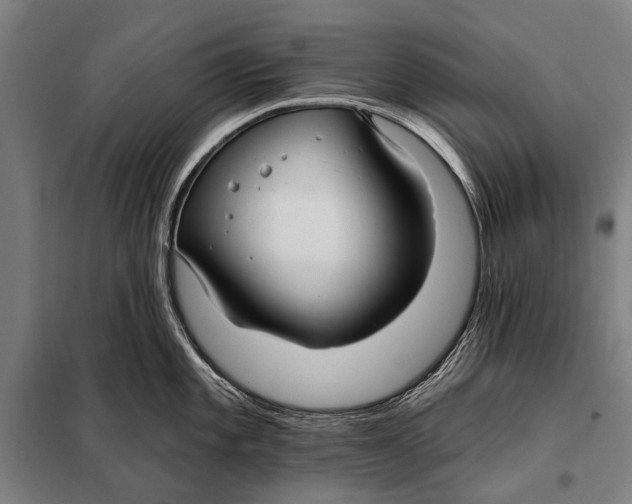 X0000097911101200804041455