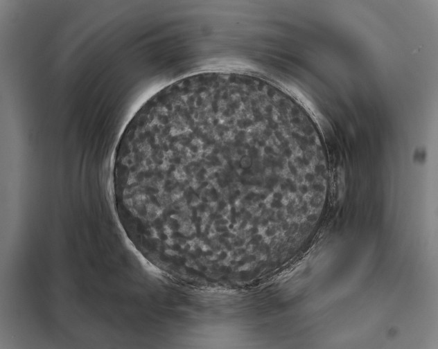 X0000097911103200804041455