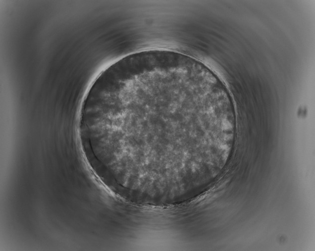 X0000097911104200804041455