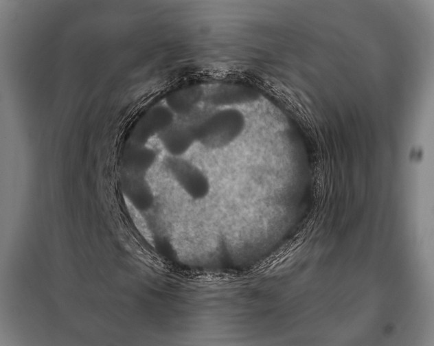 X0000097911105200804041454