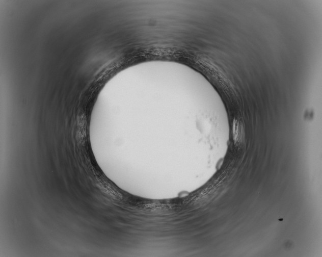 X0000097911107200804041455