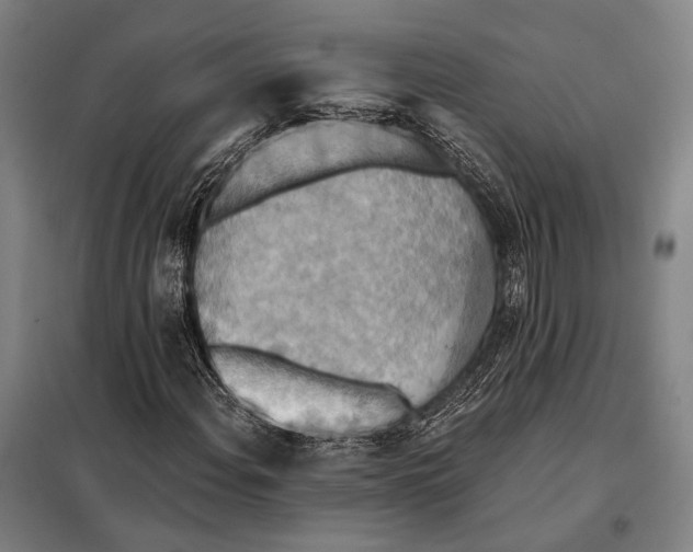 X0000097911108200804041455